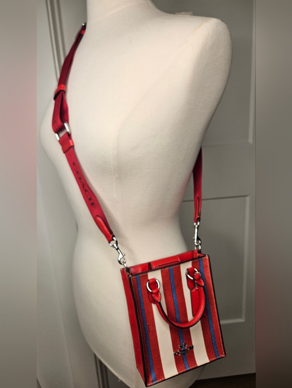 Coach Small Dylan Tote Stripe Leather Crossbody/Shoulder Satchel